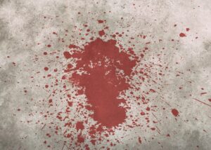 Obraz M. H. z Pixabay